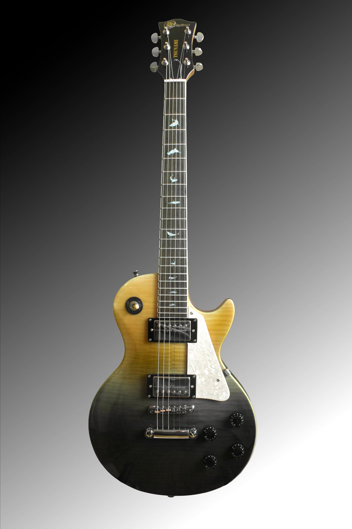 Tsunami (LP) - Flow Model