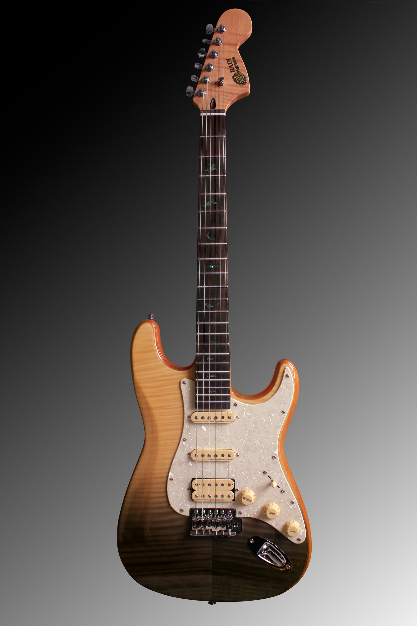 Rain (ST) - Flow Model