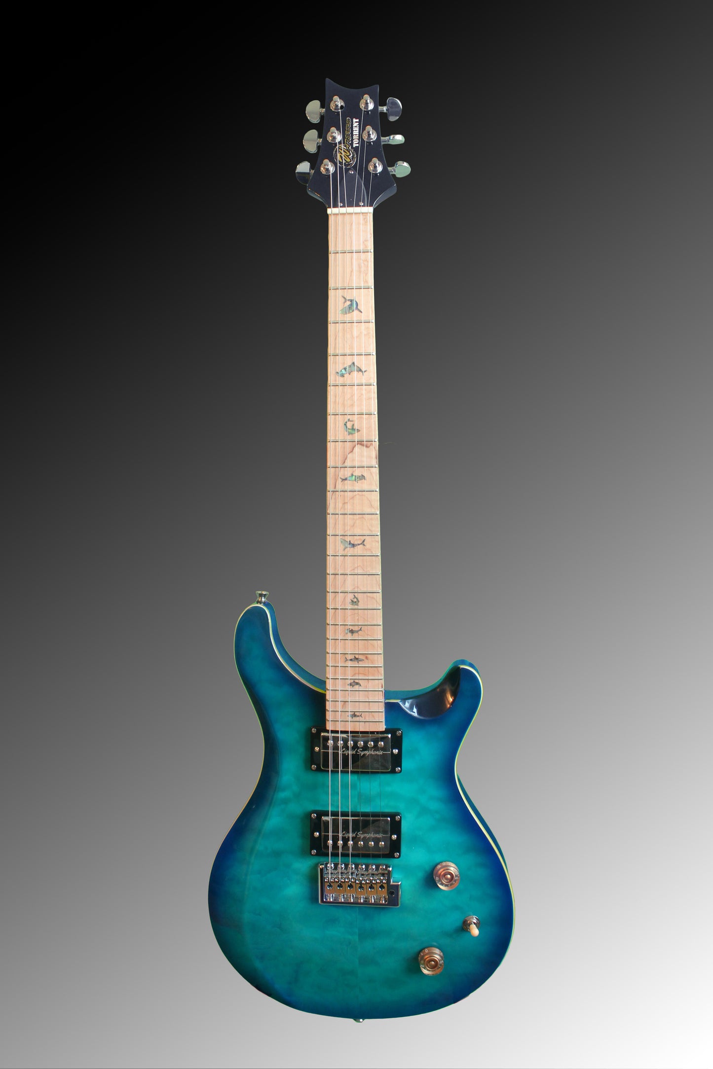 Torrent (PRS) - Flow Model