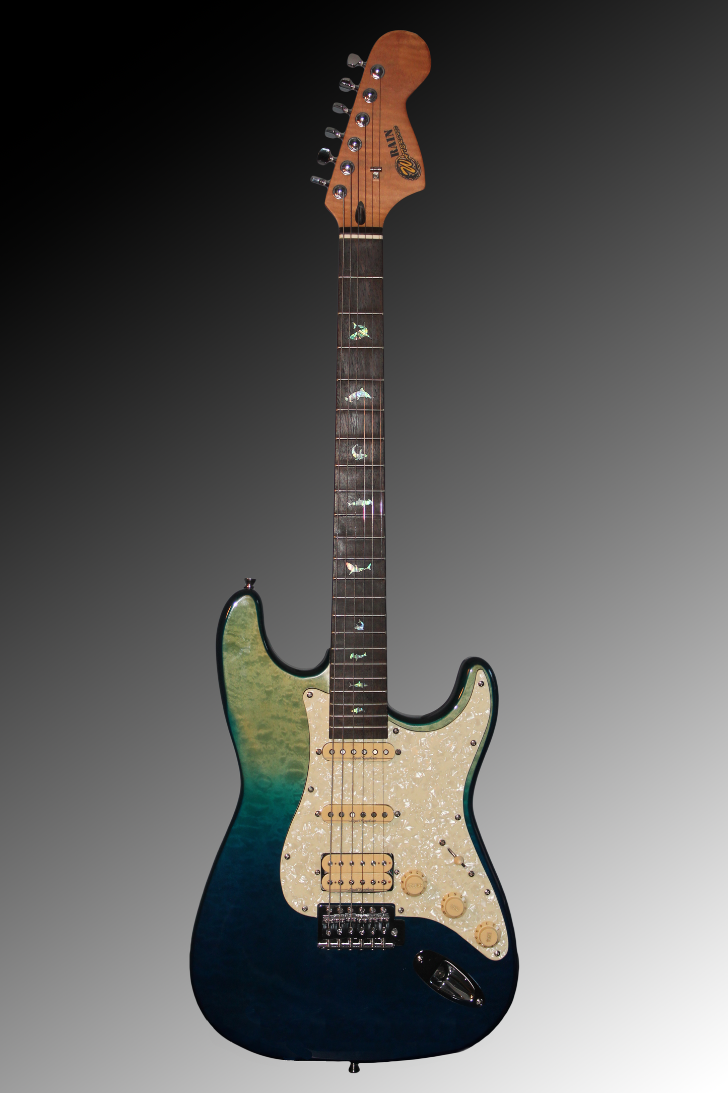 Rain (ST) - Flow Model