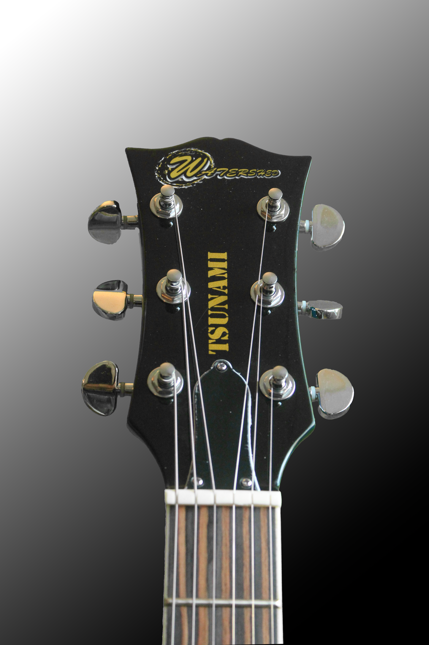 Tsunami (LP) - Flow Model