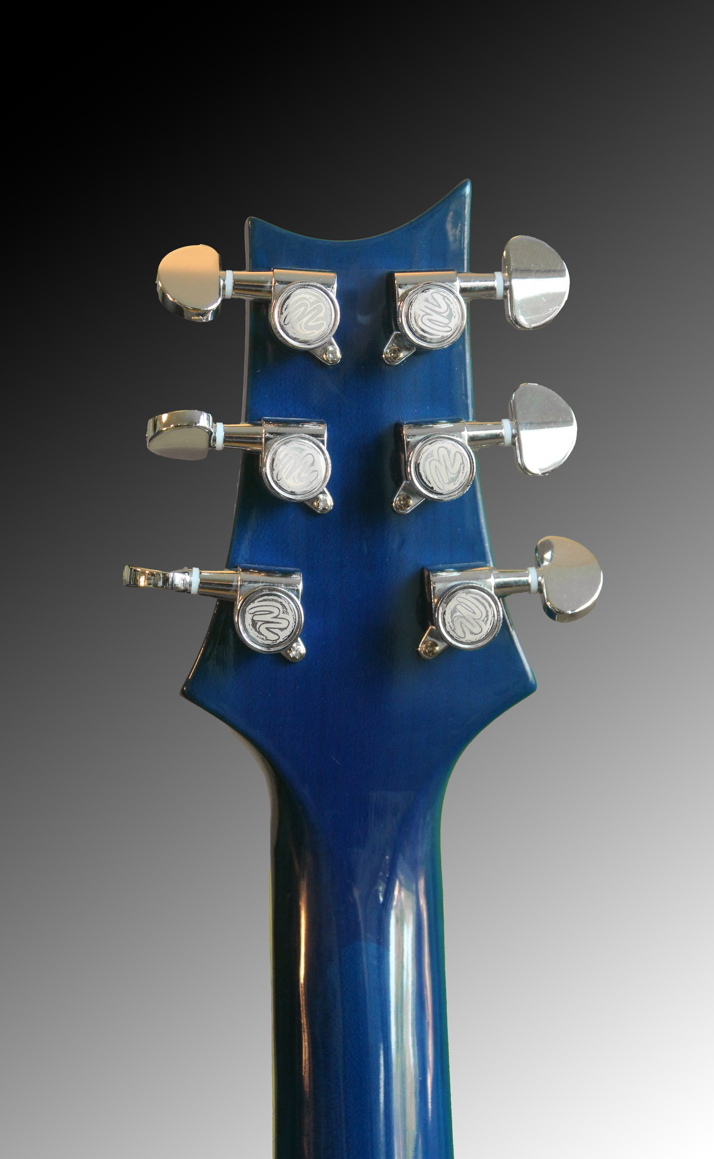 Torrent (PRS) - Flow Model