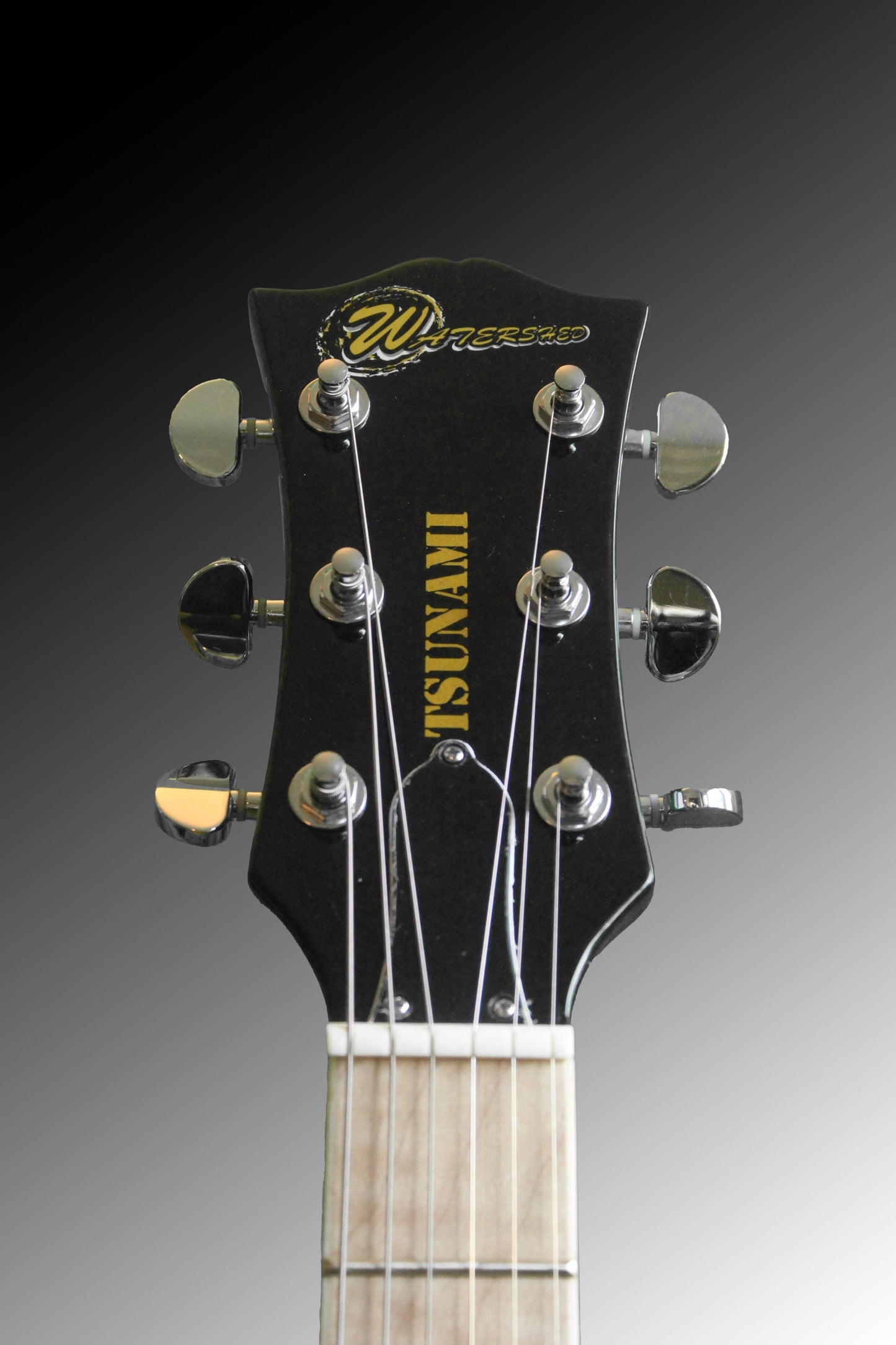 Tsunami (LP) - Flow Model