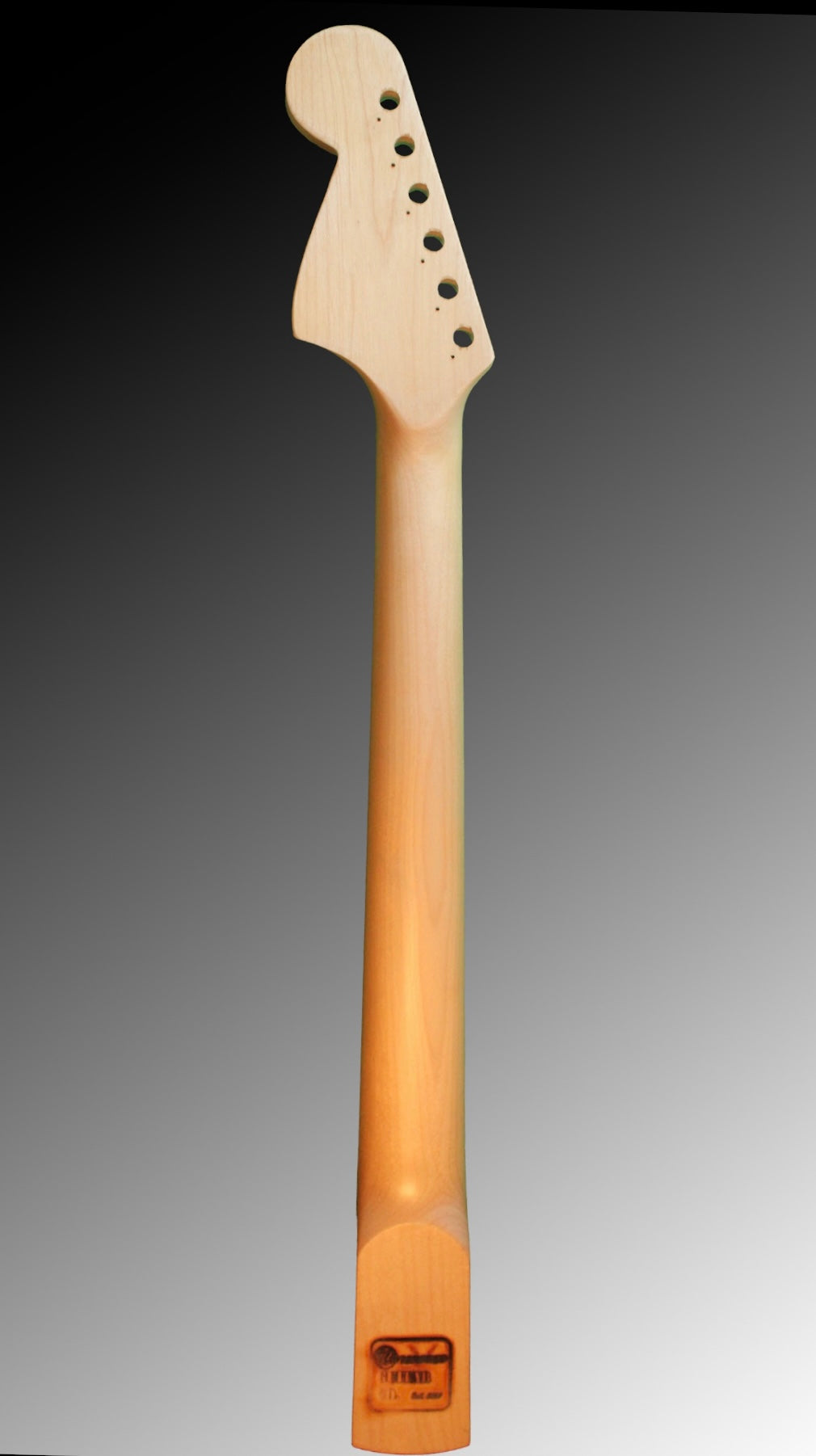 Maple Neck with Indian Rosewood Fretboard (Rain - ST)