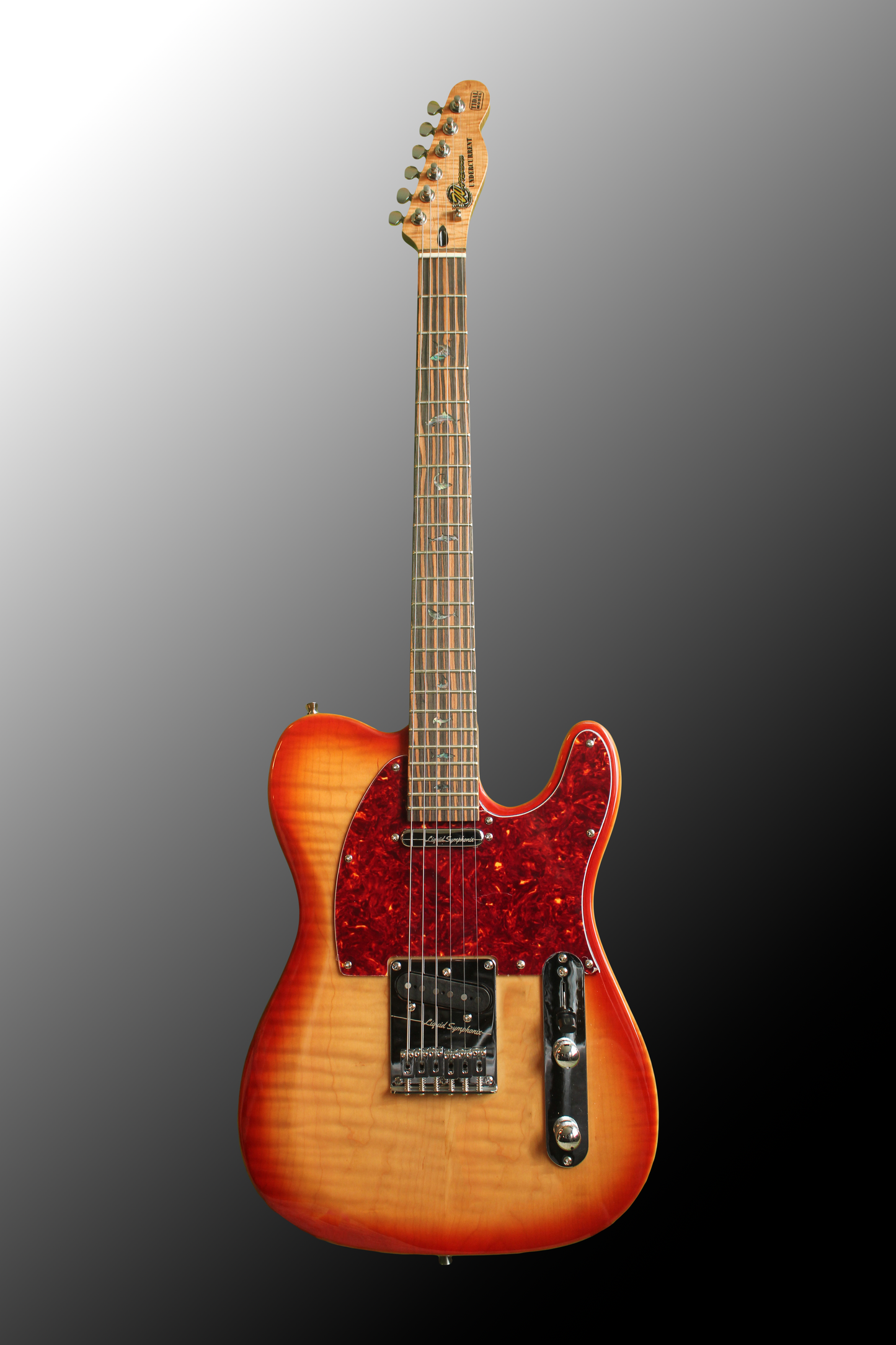 Undercurrent (TL) - Tidal Model