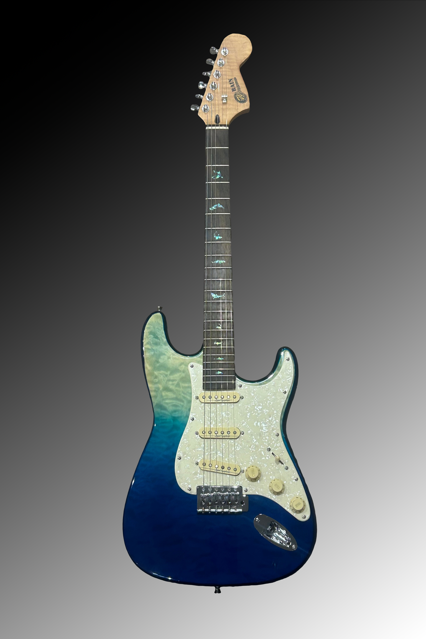 Rain (ST) - Flow Model