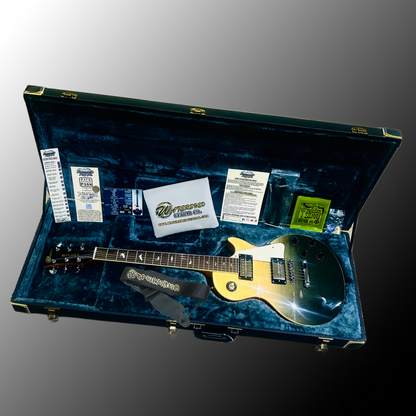 Guitar 17