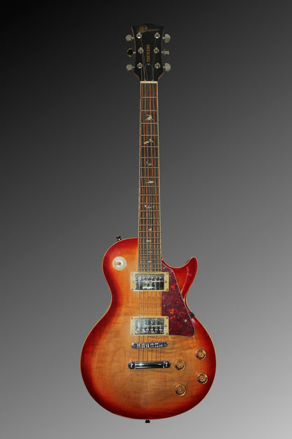 Guitar 21