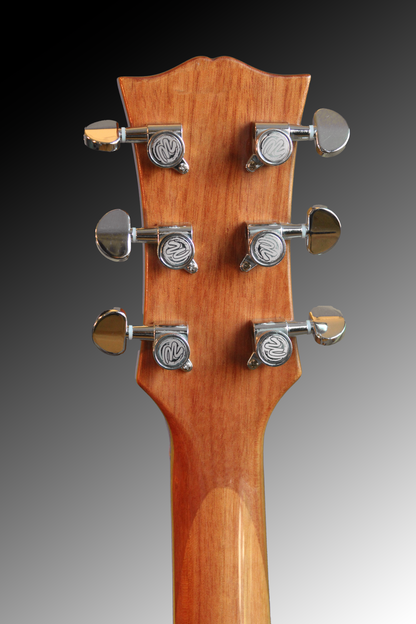 Guitar 14