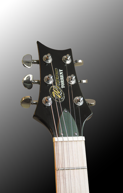 Guitar 18
